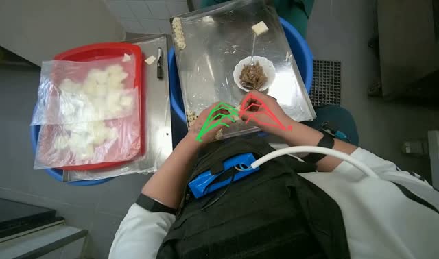 Making dumplings with meat filling: egocentric robotics sample