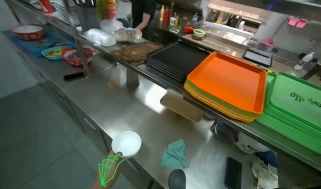 cooking dumplings: egocentric robotics sample
