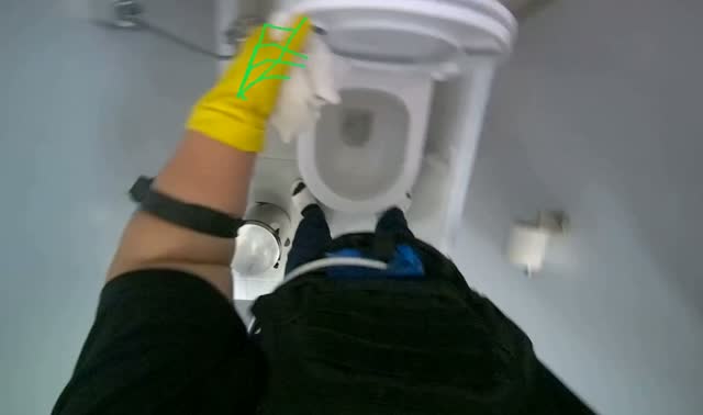 Cleaning toilet brush and toilet area: egocentric robotics sample