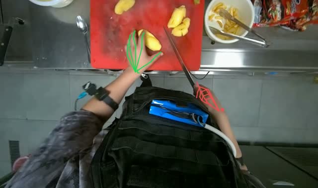 Preparing potatoes for deep frying: egocentric robotics sample