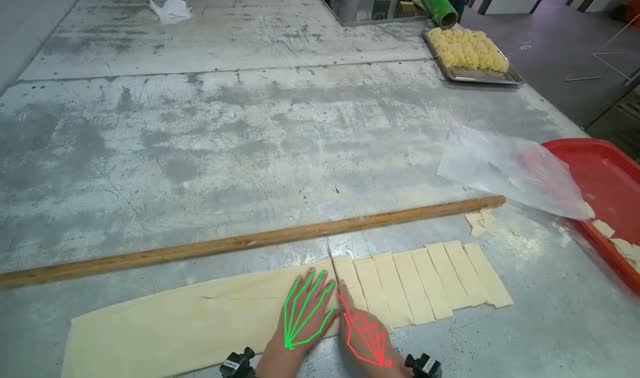 Cutting dough into strips: egocentric robotics sample