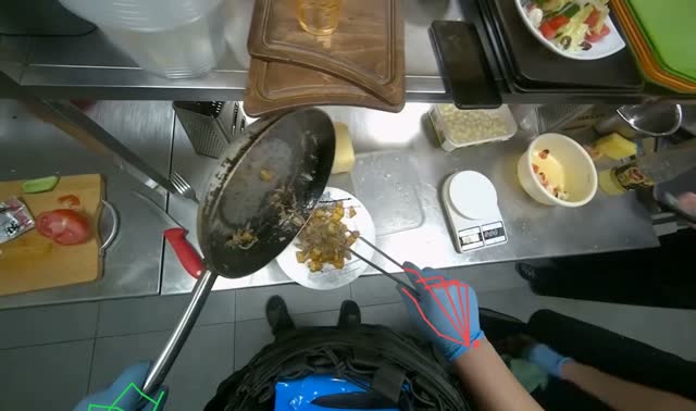 Plating and garnishing cooked food: egocentric robotics sample