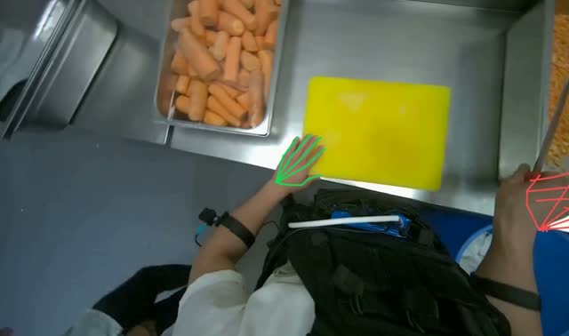 Preparing and cutting carrots: egocentric robotics sample