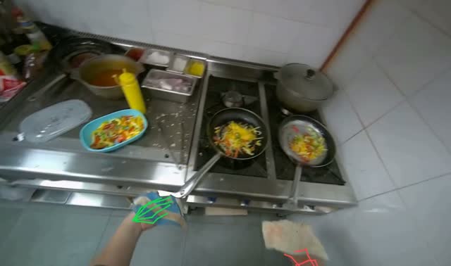 Cooking vegetables in frying pans: egocentric robotics sample