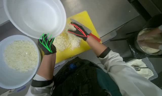 Transferring chopped onions to bowl: egocentric robotics sample