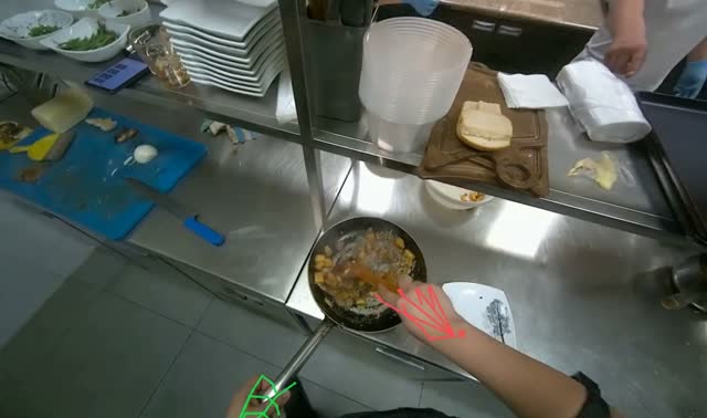 Stirring and flipping ingredients in pan: egocentric robotics sample