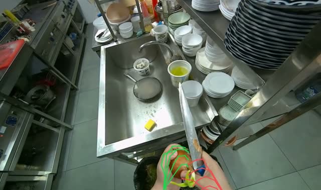 Peeling an onion: egocentric robotics sample
