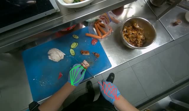 Slicing cooked chicken: egocentric robotics sample