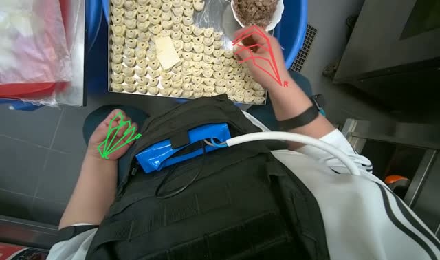 Making dumplings with meat filling: egocentric robotics sample