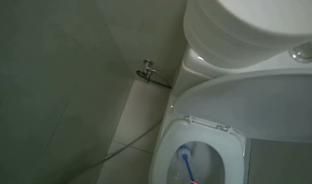 Cleaning toilet: egocentric robotics sample
