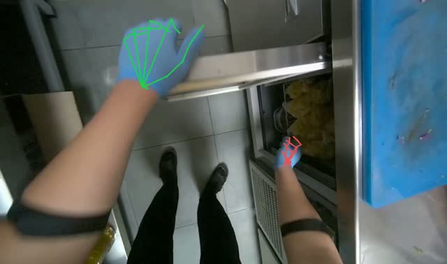 Seasoning and stirring noodles in pot: egocentric robotics sample