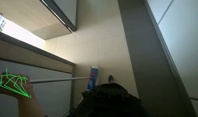 Mopping the hallway floor: egocentric robotics sample