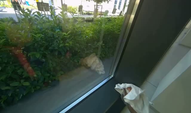 Wiping glass windows and frames with cloth: egocentric robotics sample