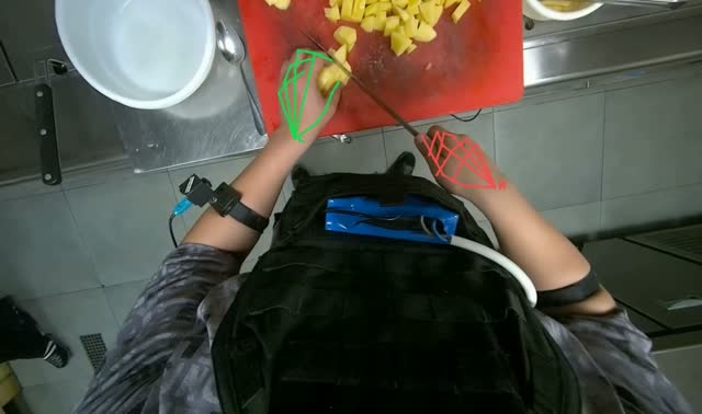 Cutting and transferring potatoes: egocentric robotics sample