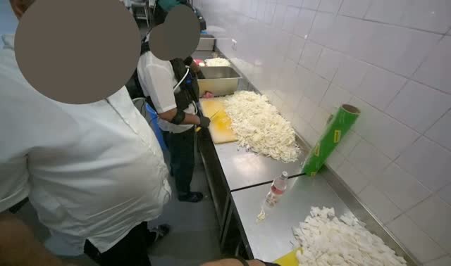 Chopping white radishes: egocentric robotics sample