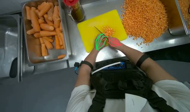 Dicing carrots on cutting board: egocentric robotics sample