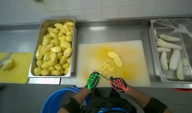 Chopping peeled potatoes: egocentric robotics sample
