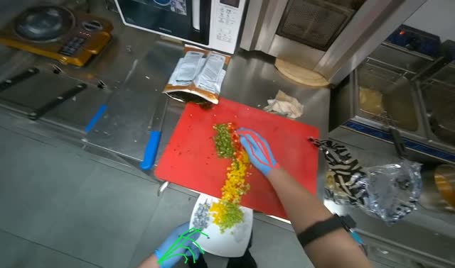 Transferring chopped vegetables to plate: egocentric robotics sample