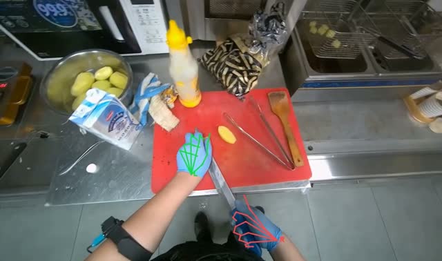 Slicing and frying potatoes: egocentric robotics sample