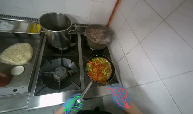 Stirring meat and vegetables in pan: egocentric robotics sample