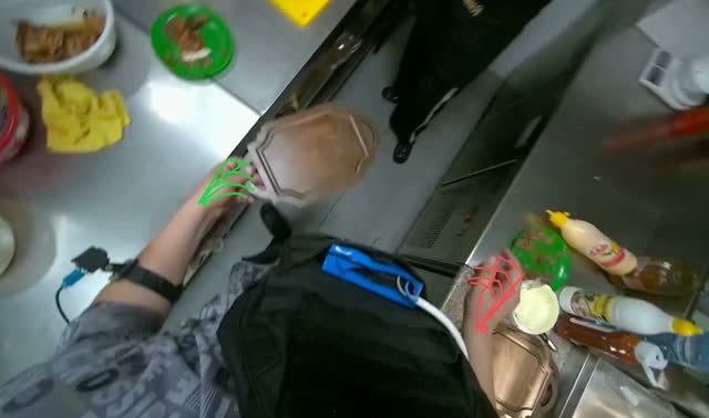 Plating sandwiches and french fries: egocentric robotics sample