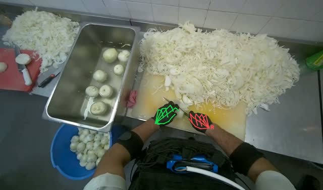 Slicing onions on cutting board: egocentric robotics sample