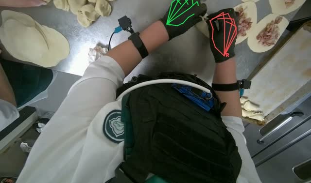 Making meat dumplings: egocentric robotics sample