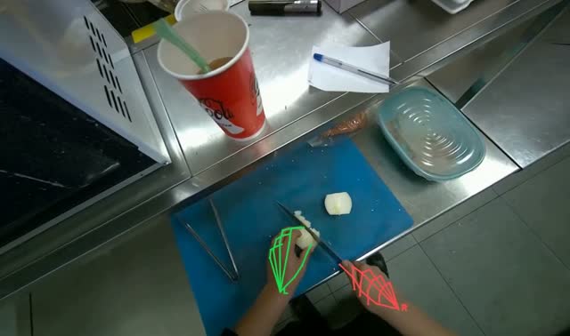 Chopping onion on cutting board: egocentric robotics sample