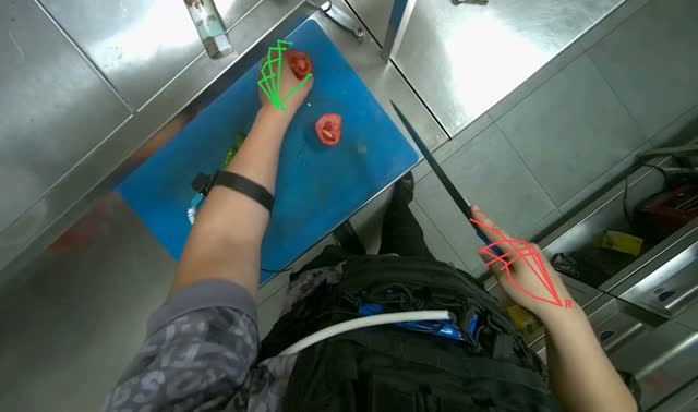 Slicing tomato on cutting board: egocentric robotics sample
