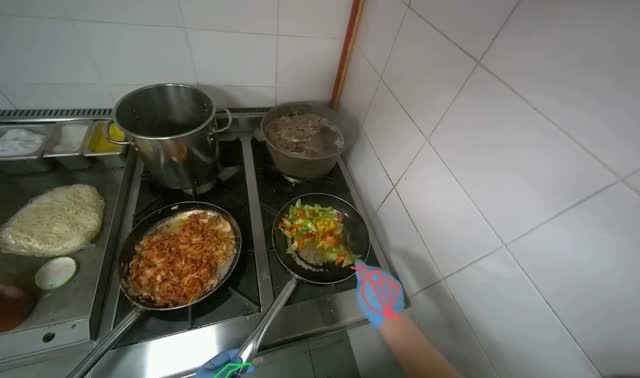 Cooking vegetables in pan: egocentric robotics sample