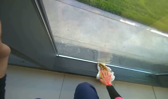 Wiping window frames and glass: egocentric robotics sample