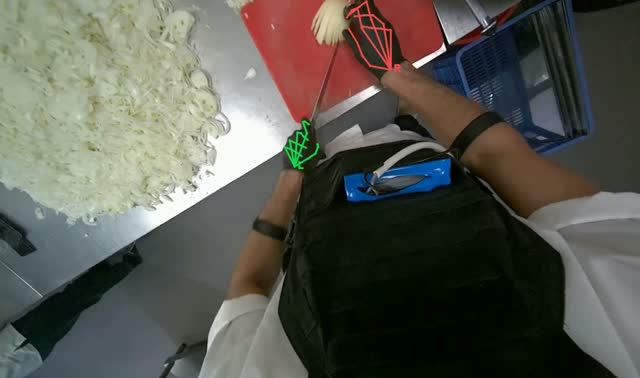 Preparing onions on cutting board: egocentric robotics sample