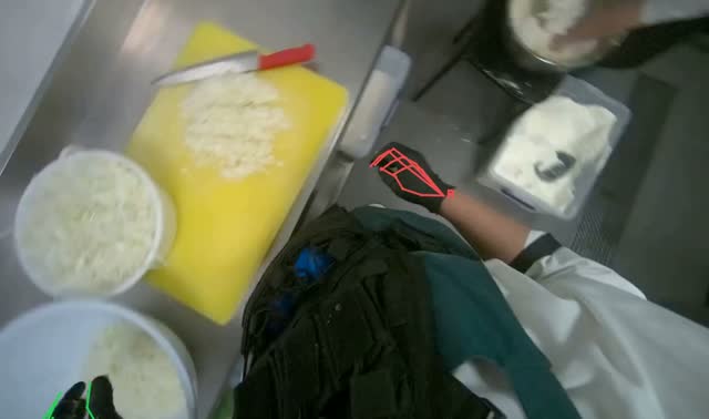 Transferring chopped onions to bowl: egocentric robotics sample