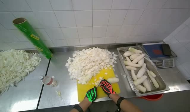 Chopping white radishes: egocentric robotics sample