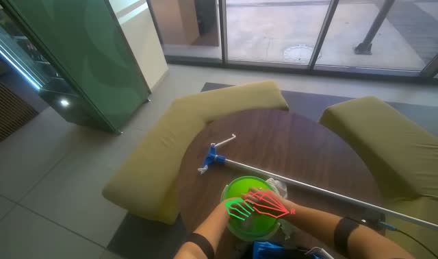 Wringing cleaning cloth: egocentric robotics sample