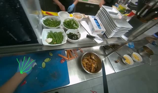 Cutting meat from dish: egocentric robotics sample