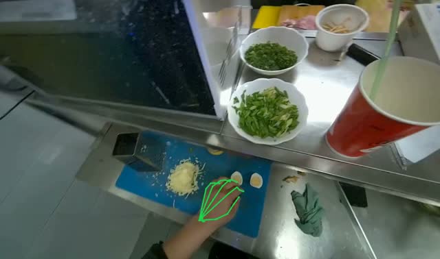 Adding ingredients to noodle bowl: egocentric robotics sample