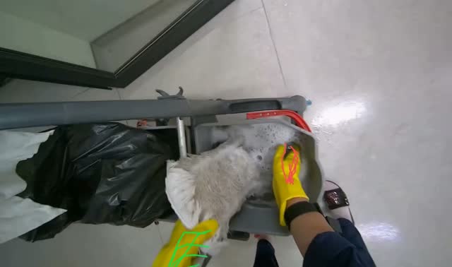 Cleaning mop head: egocentric robotics sample