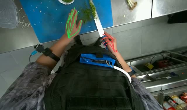 Adding chopped herbs to pot: egocentric robotics sample
