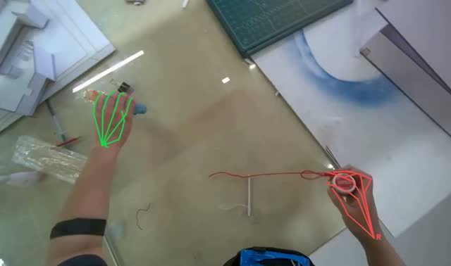 Sorting Items on a Table: egocentric robotics sample