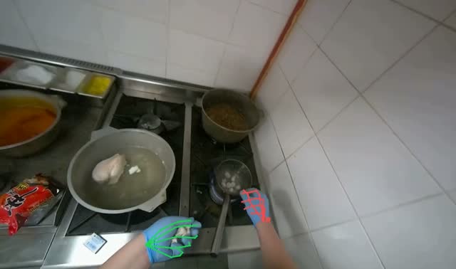 Adding ingredients to a pot: egocentric robotics sample