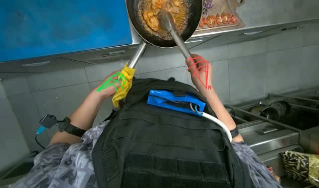 Frying food in pan: egocentric robotics sample