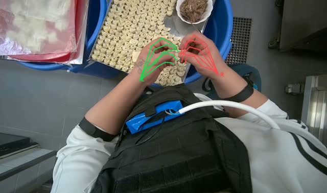Making dumplings with meat filling: egocentric robotics sample