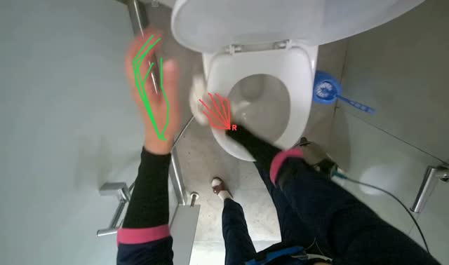 Wiping toilet surfaces: egocentric robotics sample