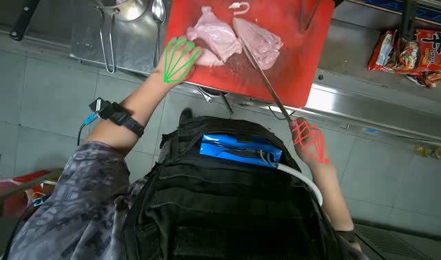 Cutting and transferring raw meat: egocentric robotics sample
