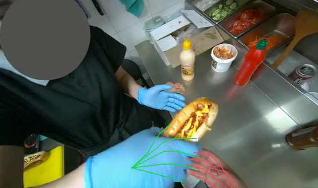 Wrapping and plating hotdog: egocentric robotics sample