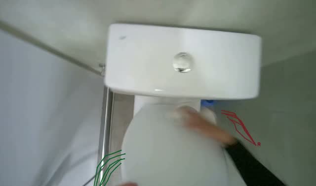 Cleaning toilet bowl and exterior: egocentric robotics sample
