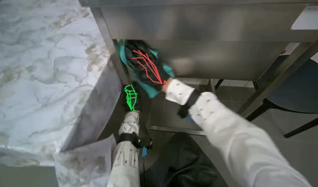 Cleaning kitchen counter and sink: egocentric robotics sample