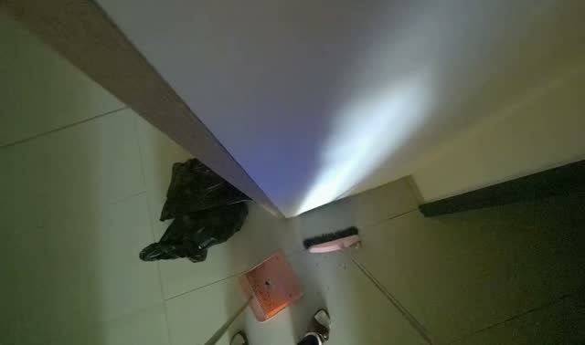 Sweeping hallway floor: egocentric robotics sample