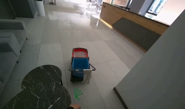 Mopping reception area floor: egocentric robotics sample